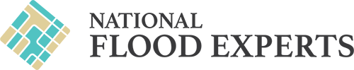 NFE Logo